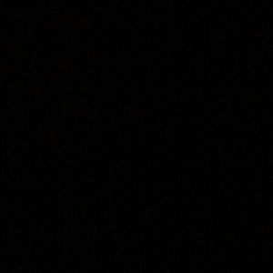 Meet your Posher, Dylan